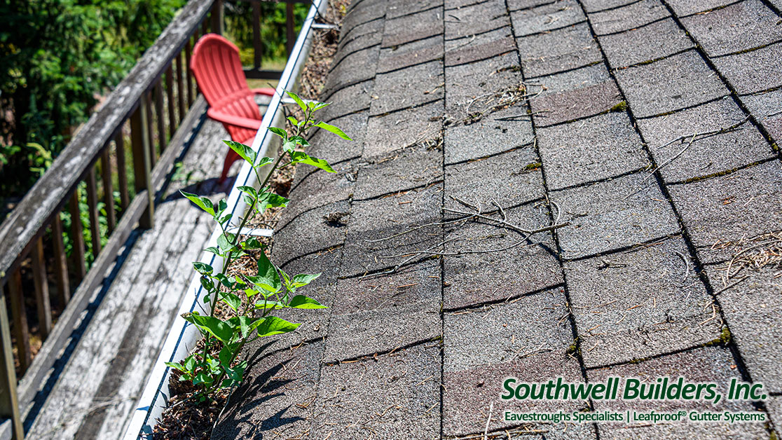 Gutter Replacement Jackson, Lansing Michigan